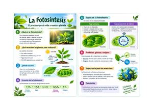 La Fotosíntesis: El Proceso que Da Vida a Nuestro Planeta