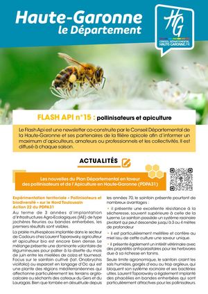 Flash Api n°15