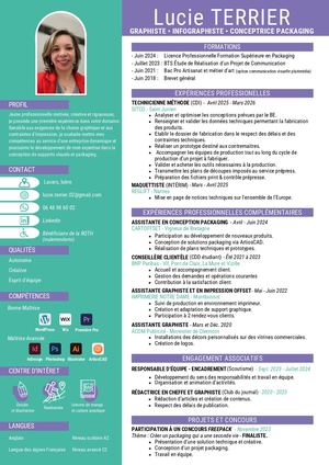 Lucie Terrier Cv Professionnel