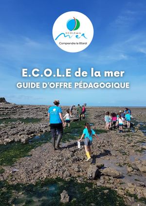 Guide Des Activités Pédagogiques Scolaire (2)