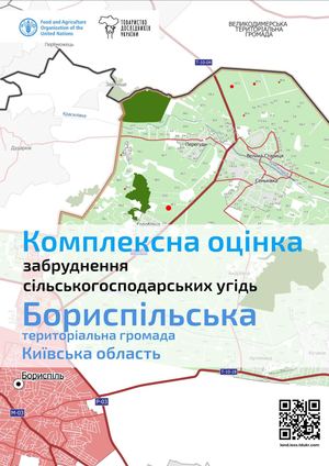 Бориспільська