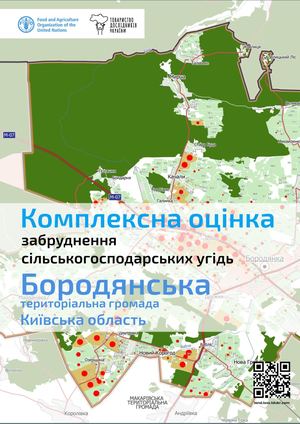 Бородянська