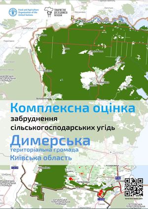 Димерська