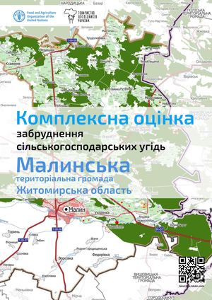 Малинська