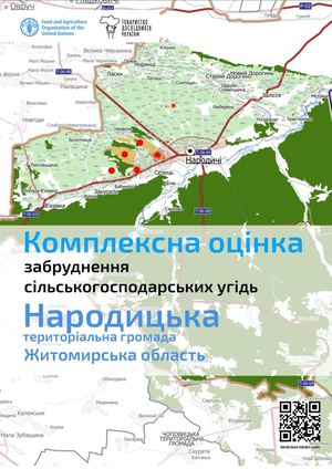 Народицька