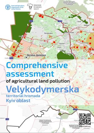 Velykodymerska