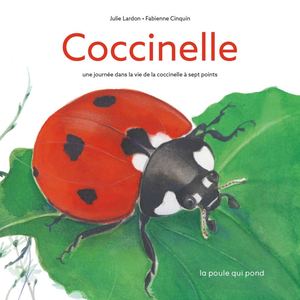 Coccinelle