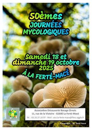 Rapport J.Myco 2025