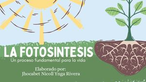 La Fotosintesis Un Proceso Fundamental Para La Vida