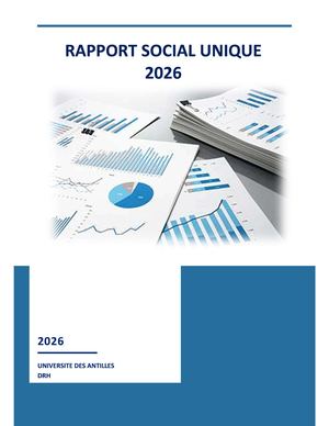 Rapport Social Unique (Rsu)