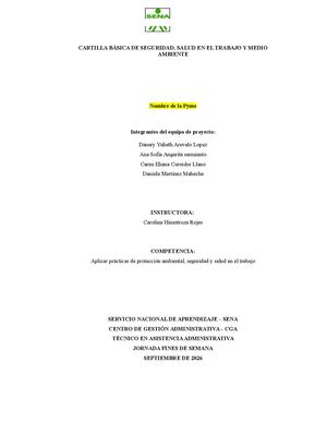 Manual Básico De Sst Para Pymes