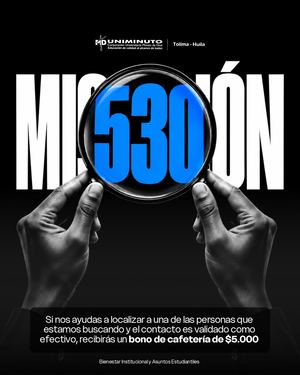 Misión 530