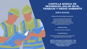 Cartilla Básica De Seguridad, Salud En El Trabajo Y Medio Ambiente. Grupo Pyme N.2