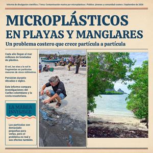 Periódico Sobre Microplásticos