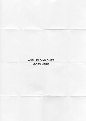 Ans Lead magnet final version