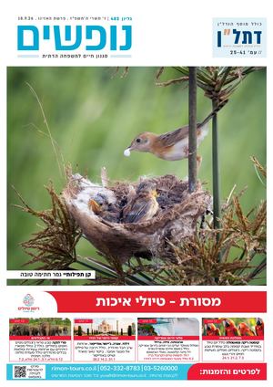 נופשים - סגנון חיים למשפחה דתית