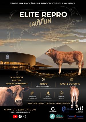 LAUV'LIM Elite Repro 2026