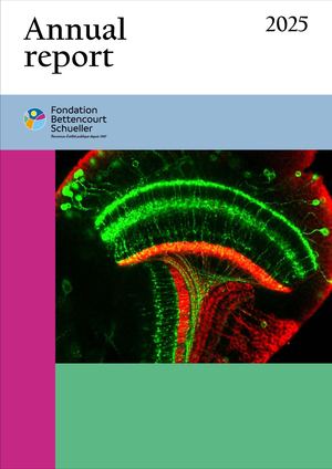 Annual report 2025