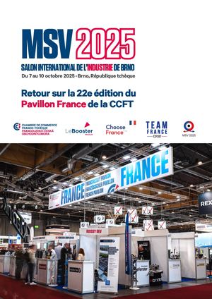 Rapport Msv 2025 Fr