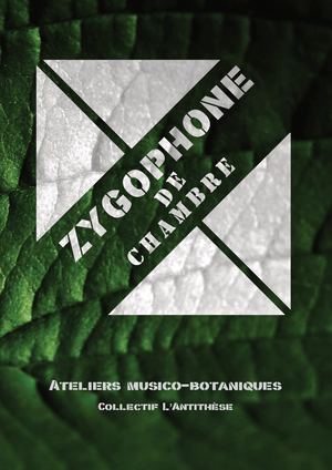 Zygophone De Chambre Dossier Diff