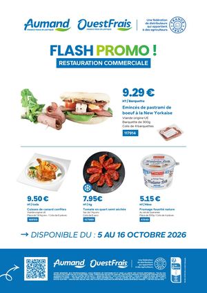 Flash Promo (1)
