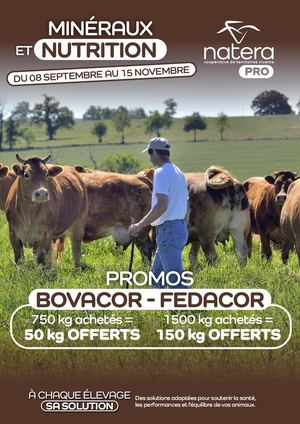 Naterapro Affiche A3 Bat Vpb