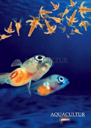 Catalogue Aquaculture France 2026 2027