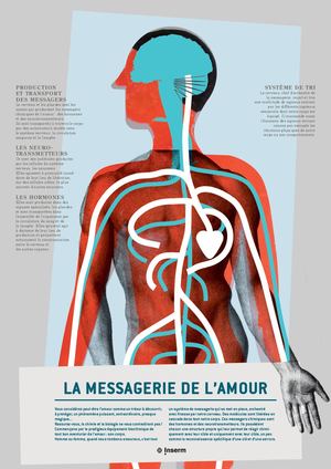 Exposition : La chimie de l’amour
