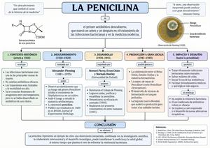 Penicilina Map Conceptual