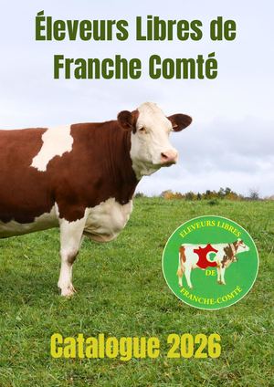 Elfc Catalogue 2026