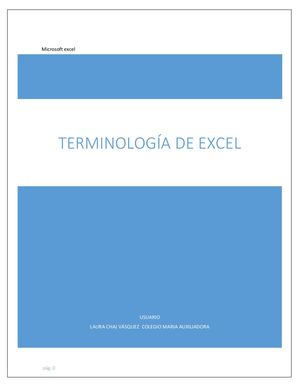 Microsoft Excel Laura
