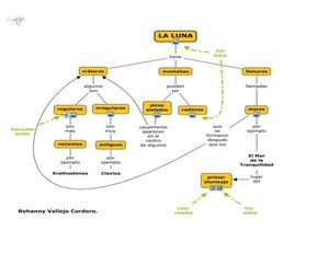 Organigramas Para El Examen Lei
