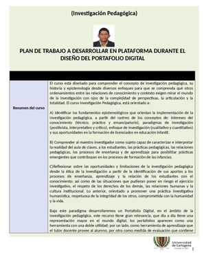 Plan De Trabajo A Desarrollar En Plataforma (2)