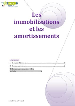 Les Immobilisations et Les Amortissements