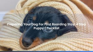 Preparing Your Dog For First Boarding Stay: 4 Step Puppy Checklist