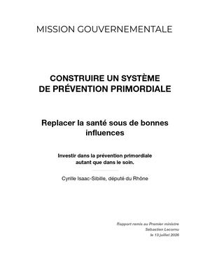 Vf Rapport Cyrille Isaac Sibille Construire Un Système De Prévention Primordiale