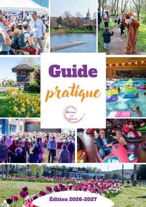 Bd Guide Mise En Page N°13
