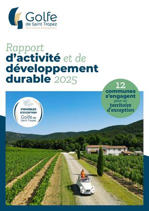 Rapport activité 2025