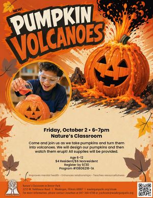 Pumpkin Volcanoes