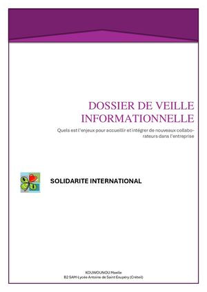 Dossier De Veille