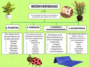 Gráfico De Mapa Conceptual Simple Morado