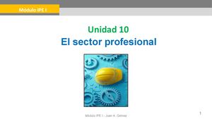 Unidad 10 - IPE I - El Sector Profesional