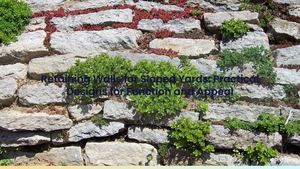 Retaining Walls for Sloped Yards: Practical Designs for Function and Appeal