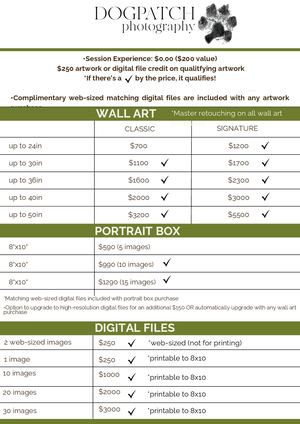 $250 Artwork Credit PL