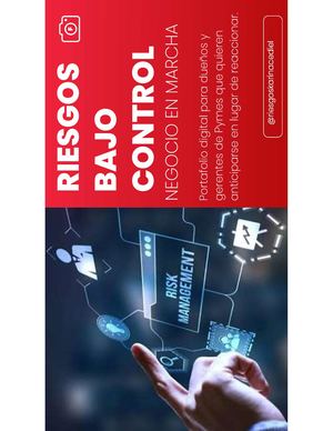 Portafolio Gestion De Riesgos