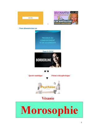Le Sujet Narcissique Harceleur Pervers Sadique Paranopsychopathe Féminicriminel