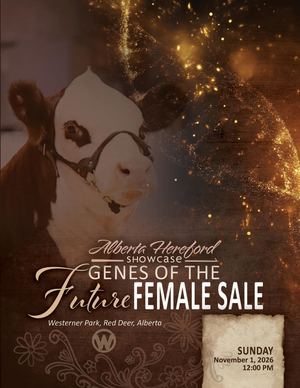 Alberta Hereford Showcase Genes of the Future Female Sale
