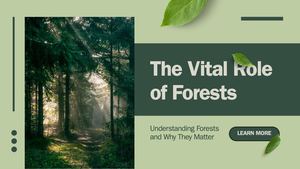 Green Modern Forest Environment Presentation