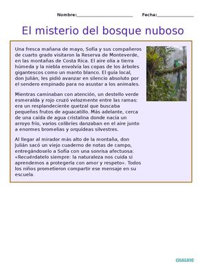 El Misterio Del Bosque Nuboso