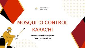 Mosquito Control Karachi Professional Mosquito Control Services [ Pest Control Services 360 ]